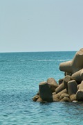 Marina08122007-10.jpg