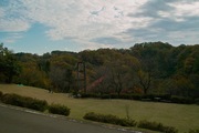 1Shinrin-park11172007-09.jpg