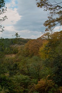 2Shinrin-park11172007-02.jpg