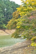2Shinrin-park11172007-05.jpg