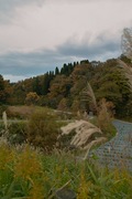2Shinrin-park11172007-06.jpg