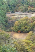 2Shinrin-park11172007-07.jpg