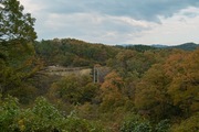 2Shinrin-park11172007-08.jpg