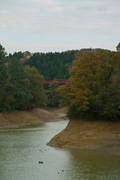 2Shinrin-park11172007-11.jpg
