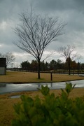Agricultural_reserch_center12092007-12.jpg