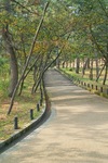 Ataka08192007-04.jpg