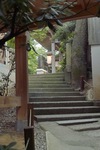 Ataka08192007-06.jpg