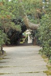 Ataka08192007-08.jpg