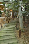 Ataka08192007-12.jpg