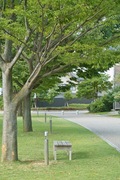Bunkamura09042007-11.jpg