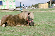 CONTAX-Fuji_PRO160C-02.jpg