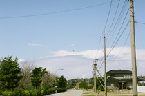 CONTAX-Fuji_PRO160C-03.jpg