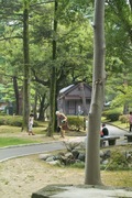 Cenral-park08192007-03.jpg