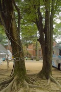 Cenral-park08192007-05.jpg