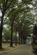 Cenral-park08192007-08.jpg