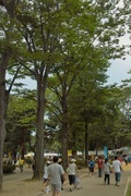 Cenral-park08192007-10.jpg
