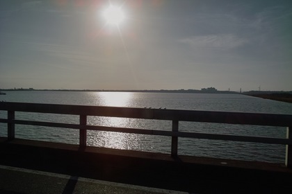 DP1_Sun03152008-01.jpg