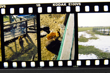 Development_PEN_FT_Kodak_E100vs_02192011-2.jpg