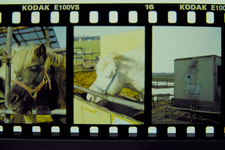 Development_PEN_FT_Kodak_E100vs_02192011-3.jpg
