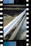 Development_SMENA_SYMBOL_agfa_CT_02192011.jpg