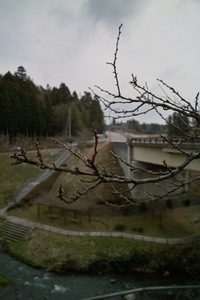 Fudou03202008-02.jpg