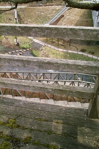 Fudou03202008-03.jpg