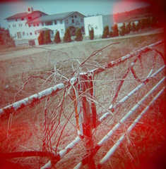 FujiPro400H04122011HOLGA02.jpg