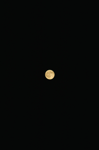 Full-moon08172008-01.jpg