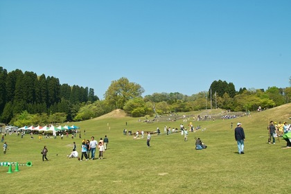 GW_Green-fes04292008sd.jpg