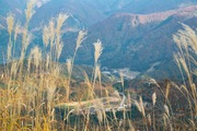 HSR-Gifu11042007-02.jpg
