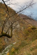 HSR-Ishikawa11042007-12.jpg