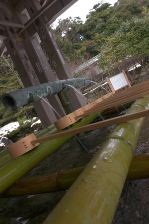 Hatsumoude01082011GH2-03.jpg