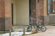 History-Museum02112008-05.jpg
