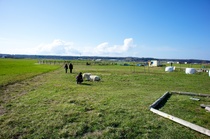 Hori_farm03272011nex5-03.jpg