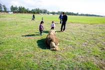 Hori_farm03272011nex5-04.jpg