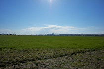 Hori_farm03272011nex5-05.jpg