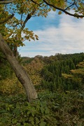 Houdatsuzan11172007-07.jpg