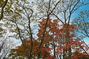 Houdatsuzan11172007-14.jpg