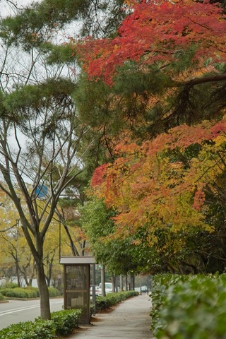 Hyakumangoku-St11242007-01.jpg