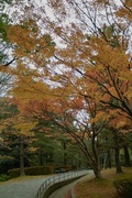 Hyakumangoku-St11242007-05.jpg