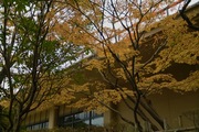 Hyakumangoku-St11242007-08.jpg