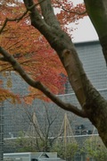 Hyakumangoku-St11242007-09.jpg