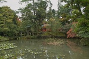Kanazawa_shrine11242007-04.jpg