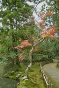 Kanazawa_shrine11242007-07.jpg