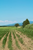 Kantakuchi08152007-04.jpg