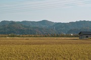 Kantakuchi11242007-05.jpg