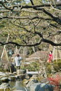Kenroku-en02112008-07.jpg