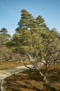 Kenroku-en02112008-11.jpg