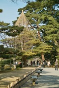 Kenroku-en02112008-13.jpg