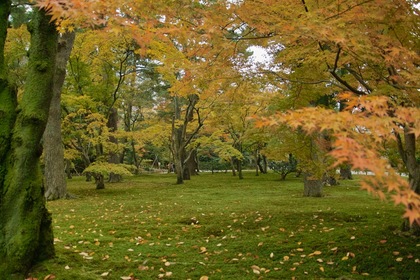 Kenrokuen11242007-01.jpg